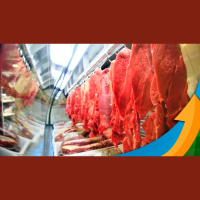 Bancos tentam terceirizar responsabilidade sobre pecuária em áreas desmatadas para os frigoríficos, mas Abiec reage e pede contrapartida das institui