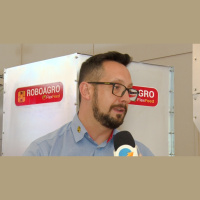 Inteligência artificial já é realidade na suinocultura e ajuda a monitorar o comportamento dos animais