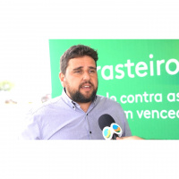 A importância do controle de plantas daninhas em pastagens como escolher o melhor produto