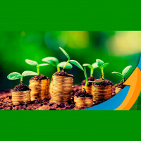 Programa de fidelidade do Agro ganha relevância e em pouco menos de 3 anos já acumula mais de R$6 bi em notas fiscais registradas