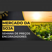 Mercado da Soja: Semana de preços encorajadores