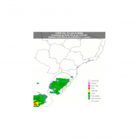 Semana começa com previsão de geada moderada no Rio Grande do Sul e baixa umidade nas demais áreas do país