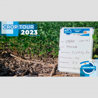 Crop Tour Argetina: Safra 2022/23 será de menos de 40 mi de t e insituições deverão seguir revisando suas estimativas