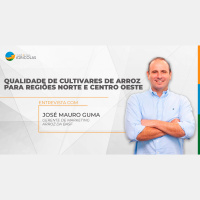 Web Série Basf : Diferenças na produção de arroz nas regiões Sul, Norte e Centro Oeste e a importância da escolha de cultivares para integrar um sist