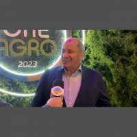 Milho é o que mais sofre com a queda nos preços  soja e algodão terão margens menores , porém positivas