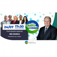 Futuro do trigo no Brasil e seu uso na produção de etanol: uma discussão com Nei Manica, Presidente da Cotrijal