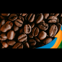 Guy Carvalho: Chuvas irregulares, escaldadura, ameaça em relação à uniformidade entenda os já impactos para safra de café de 2024