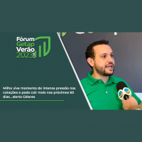 Milho vive momento de intensa pressão nas cotações e pode cair mais nos próximos 60 dias , alerta Céleres