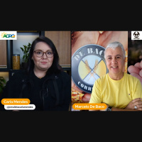 Oferta mais robusta mantém pressão sobre os preços do trigo nos mercados nacional e internacional produtor tem de estar atento à gestão