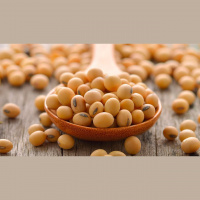 Demanda deve vir forte pela soja brasileira nos próximos meses, mas pressão da oferta sobre os preços pode continuar