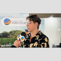 Mercado cada vez mais mais verde: Como fazer um projeto de crédito de carbono?