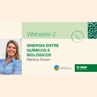 Como fazer a melhor combinação entre químicos e biológicos para potencializar os resultados no Tratamento de Sementes