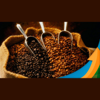 Em dia de respiro e após números da GCA, café arábica sobe mais de 4% em NY negócios permaneceram travados