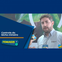 Controle do bicho-mineiro: Inseticida com dois modos de ação distintos reforça controle da principal praga do café