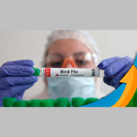 Medidas adicionais vêm sendo adotadas regionalmente em complemento aos protocolos do MAPA para prevenir a doença, diz especialista da CNA