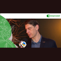 Cecafé Serasa Experian: Brasil fará quatro exportações acompanhadas em projeto piloto para atender novas regras da União Europeia