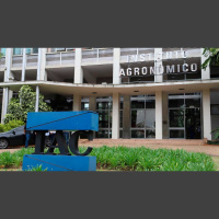 Instituto Agronômico de Campinas comemora 136 anos com lançamento de cultivares de feijão e porta-enxertos para citricultura