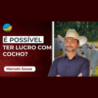A importância da nutrição animal: Especialista em pecuária explica se ainda é possível garantir lucro com cocho
