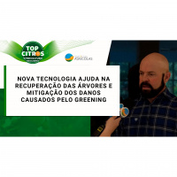 Nova tecnologia ajuda na recuperação das árvores e mitigação dos danos causados pelo greening
