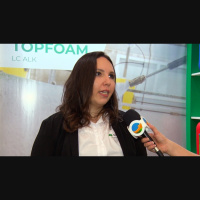 Higienização nas granjas de suínos é essencial e pode ajudar o produtor a ter melhores resultados