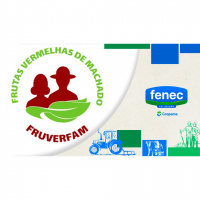 Cultivo de frutas vermelhas é aliado na agregação de renda ao produtor rural de Machado (MG)