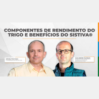 Como o tratamento de sementes no trigo impacta os componentes de rendimento da cultura