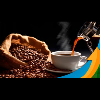 Café de qualidade: illy recebe 30% de amostras em 2023 e afirma que produtor já entendeu necessidade das boas práticas agrícolas e de bebida diferenci