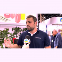 Técnica já bastante utilizada na fruticultura, uso de porta enxerto ganha espaço entre as hortaliças, resultando em maior produtividade e qualidade do