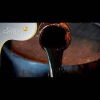 Petróleo: 2022 foi de ampla volatilidade, mas mercado deve fechar o ano no zero a zero e voltar a subir no início de 2023