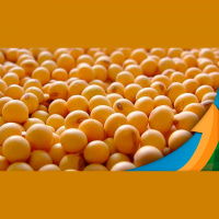 Safra americana poderia ser reduzida em até 10 milhões de toneladas se USDA não fosse tão conservador, admite Brandalizze