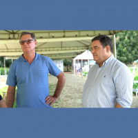 Setor de feijões e pulses se organiza para profissionalizar ações de expansão da produção, incentivar pesquisas e abrir novos mercados