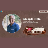 Fruto dos deuses e com muita história: Produtor trabalha para manter tradição da família viva e aumentar produtividade do cacau fino