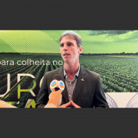 Abiove começa aplicar medidas contra desmatamento ilegal no Cerrado