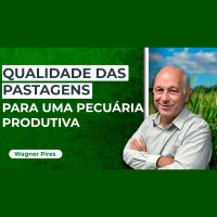 A importância da pastagem no processo produtivo da pecuária brasileira