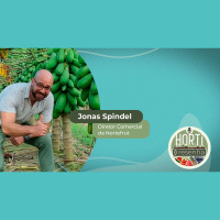 HORTI RESENHA #23 – Com desafios fitossanitários, mamão busca ampliar espaço no mercado brasileiro e atingir outros países na exportação