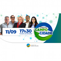 Cooperativas de Crédito: qual o papel delas no fortalecimento do agronegócio brasileiro?