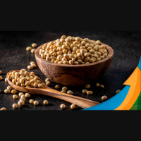 Farelo sobe forte e puxa soja em Chicago clima na Argentina e vendas americanas reforçam movimento de alta desta terça-feira