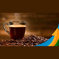 Após 20 anos de pesquisa, IAC realiza testes de campo para produzir café naturalmente descafeinado