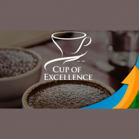 Cup of Excellence: Inscrições abertas para o principal concurso de qualidade do Brasil