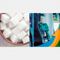Preços do açúcar recuam nas bolsas de NY e Londres nesta 3ª decisão sobre combustíveis no BR contribui para perdas