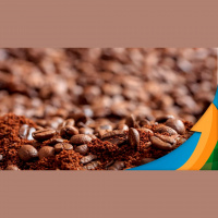 Com alta de 29% na exportação, setor do café solúvel é o único apresentar desempenho positivo em 2023