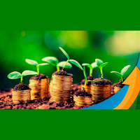 Como têm avançado as discussões sobre a reforma tributária e os desdobramentos para o agro