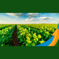 Marketing No Agro - Conversa com, Alberto MeneghettiDiretor da ABMRA e CEO da Neodigital