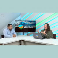 Tem que aproveitar para vender: Alta do café é técnica e aproximação da colheita no BR pode provocar ajustes nos preços