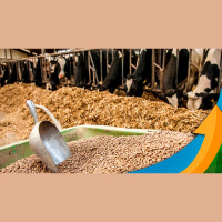 Isenção tributária para nutrição animal pode elevar PIB mostra estudo da Asbram