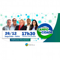 Melhores momentos CCC: Fatores que interferiram nos custos de produção e como o agropecuarista pode se precaver da volatilidade do mercado