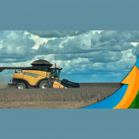 Tapurah/MT começa colheita da soja com resultados acima das 60 sacas/hectare