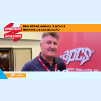 Preparar a matriz suína é essencial para desmamar mais leitões