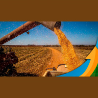 Aprosoja Brasil pede medidas de auxílio ao governo federal para que produtores possam cumprir compromissos