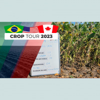 Crop Tour Grupo Labhoro e Notícias Agrícolas encerram expedição esperando safra menor de soja e milho nos EUA